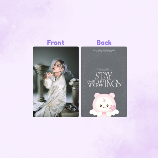 Photocards Stray Kids Stay with your wings