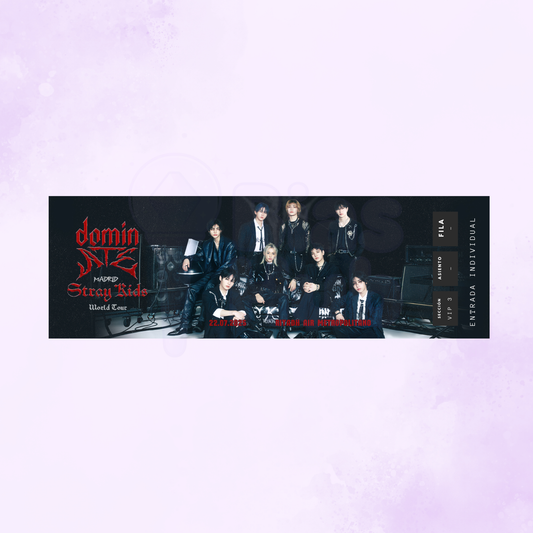 Entrada conmemorativa Stray Kids